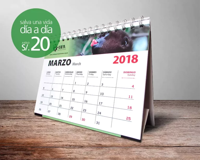 calendarioeva (1)